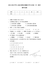 2021-2022学年上海市普陀区梅陇中学九年级（下）期中数学试卷（含解析）