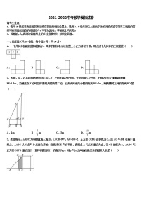 2022届江苏省大丰市万盈初级中学中考数学全真模拟试卷含解析