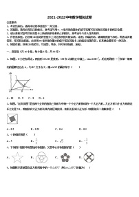 2022届吉林省长春市德惠三中学中考数学对点突破模拟试卷含解析