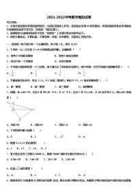 2022届江苏省苏州市中考数学模试卷含解析