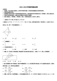 2022届江苏省南京市二十九中学、汇文校中考数学对点突破模拟试卷含解析