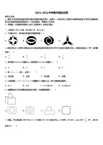 2022届江苏省泰州市青藤校中考数学押题卷含解析