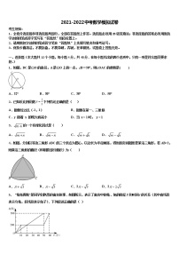 2022届江苏省南师附中集团中考数学对点突破模拟试卷含解析