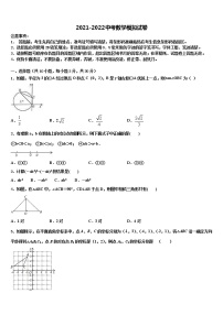 2022届江苏省徐州市树人中学中考数学押题试卷含解析