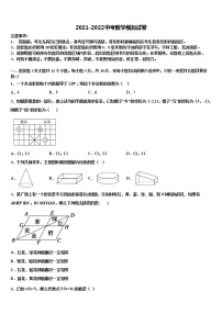 2022届江西省南昌石埠中学中考数学最后冲刺模拟试卷含解析