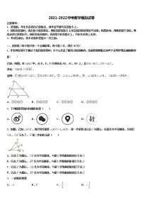 2022届江苏省南京市江北新区重点名校中考数学押题试卷含解析