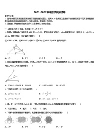 2022届江西省上饶市广丰区丰溪中学中考二模数学试题含解析