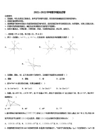 2022届辽宁省朝阳市建平县中考数学全真模拟试题含解析