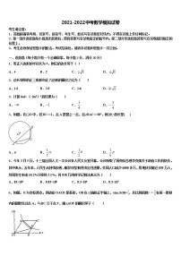 2022届拉萨市市级名校中考数学仿真试卷含解析