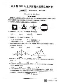 湖南省常德市安乡县2021-2022学年八年级下学期期末质量监测数学试题