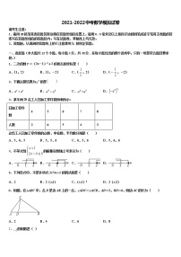 2022届山东省滨州市卓越重点中学中考数学模试卷含解析