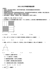 2022届山东省青岛市崂山三中学中考数学猜题卷含解析