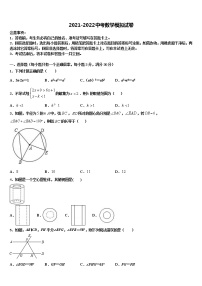 2022届山东省济南外国语校中考数学最后冲刺模拟试卷含解析