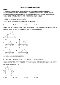 2022届山东省临沂市罗庄区、河东区、高新区三区中考数学考试模拟冲刺卷含解析