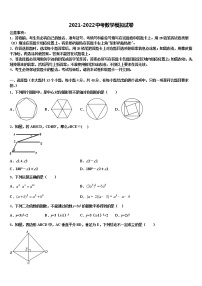 2022届山东省潍坊高新技术产业开发区重点名校中考猜题数学试卷含解析