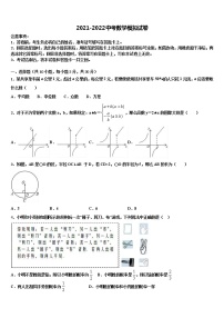 2022届陕西省华阴市中考数学模拟试题含解析