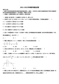 2022届山东省枣庄市峄州市级名校中考数学模拟精编试卷含解析