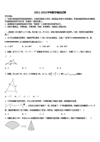 2022届山东省泰安市新泰市重点达标名校中考数学模试卷含解析