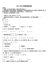 2022届陕西省咸阳市兴平市中考适应性考试数学试题含解析