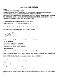 2022届四川省成都市育才校中考联考数学试题含解析