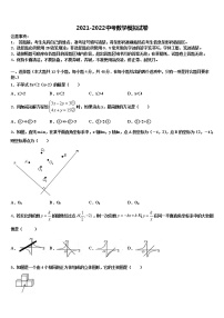 2022届陕西省西安市雁塔区陕西师大附中十校联考最后数学试题含解析