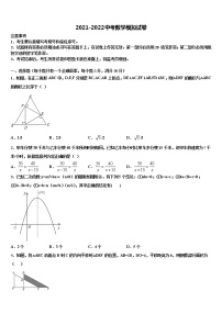 2022届四川省成都市锦江区中考数学对点突破模拟试卷含解析