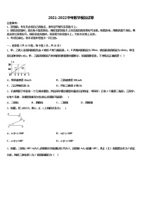 2022届四川省德阳市广汉中学中考数学适应性模拟试题含解析