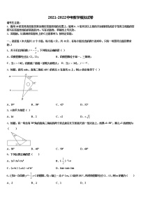 2022届四川宜宾县横江片区重点名校中考数学模拟精编试卷含解析