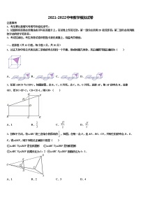 2022届四川省攀枝花市重点名校中考数学对点突破模拟试卷含解析