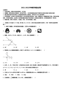 2022届濮阳市重点中学初中数学毕业考试模拟冲刺卷含解析