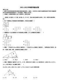 2022届浙江省温州中学中考数学全真模拟试题含解析