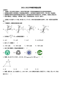 2022届浙江省台州仙居初中数学毕业考试模拟冲刺卷含解析