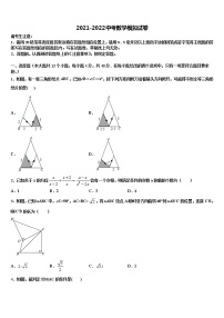 2022届浙江省绍兴市上虞实验中学中考数学仿真试卷含解析