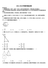 2022届浙江省乐清市育英寄宿校中考数学全真模拟试卷含解析