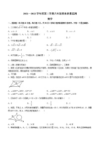 广东省阳江市江城区2021-2022学年八年级下学期期末数学试题(word版含答案)