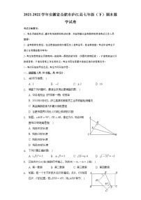 安徽省合肥市庐江县2021-2022学年七年级下学期期末考试数学试题(word版含答案)