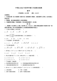 广西壮族自治区崇左市宁明县2021-2022学年八年级下学期期末数学试题(word版含答案)