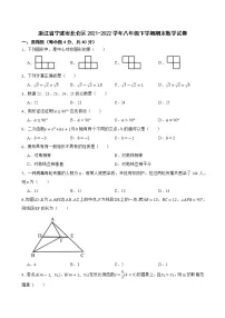 浙江省宁波市北仑区2021-2022学年八年级下学期期末数学试卷(word版含答案)