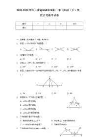 2021-2022学年云南省昭通市昭阳一中七年级（下）第一次月考数学试卷（含解析）