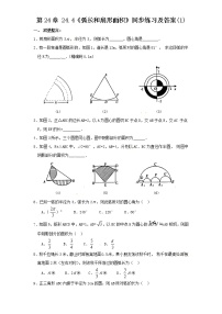 初中人教版24.4 弧长及扇形的面积同步训练题