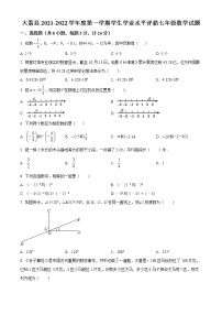 陕西省渭南市大荔县2021-2022学年七年级上学期期末数学试题(word版含答案)