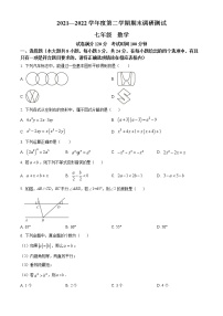 江苏省宿迁市宿城区2021-2022学年七年级下学期期末数学试题(word版含答案)