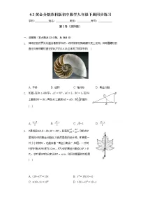 数学6.2 黄金分割精品一课一练