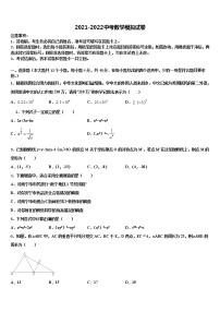 2022年北京市教院附中中考数学适应性模拟试题含解析