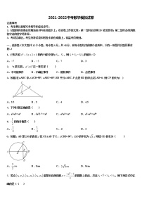 2022年北京市北京昌平临川育人校中考冲刺卷数学试题含解析