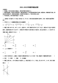 2022年安徽省临泉十校联考最后数学试题含解析