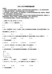 2022年福建省厦门外国语海沧附属校中考数学模试卷含解析