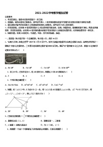 2022年福建省泉州市洛江区南片区市级名校中考二模数学试题含解析