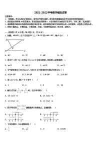 2022年福建省郊尾、枫亭五校教研小片区市级名校中考数学押题试卷含解析