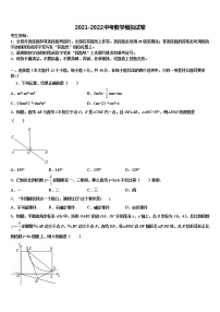 2022年福建省泉州实验中学十校联考最后数学试题含解析